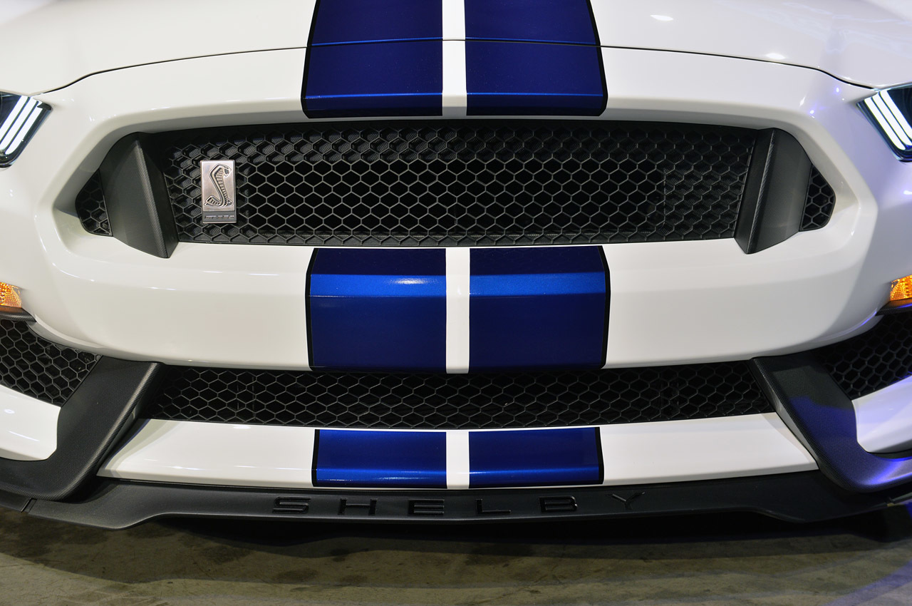 Image result for 2015 shelby gt350 grille